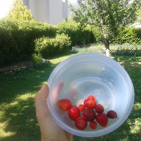 Holiday home Porretta